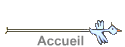 Accueil